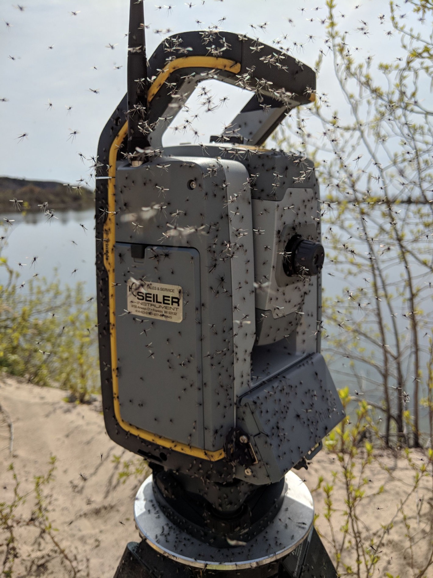 Bugs flying around surveying equipment by lake Bugs flying around surveying equipment by lake